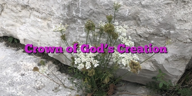 Crown of God’s Creation