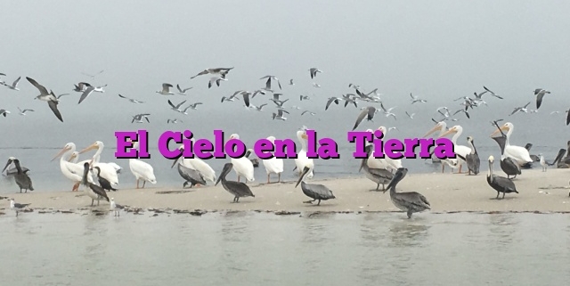 El Cielo en la Tierra