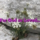 For God so Loved…