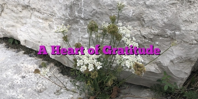 A Heart of Gratitude