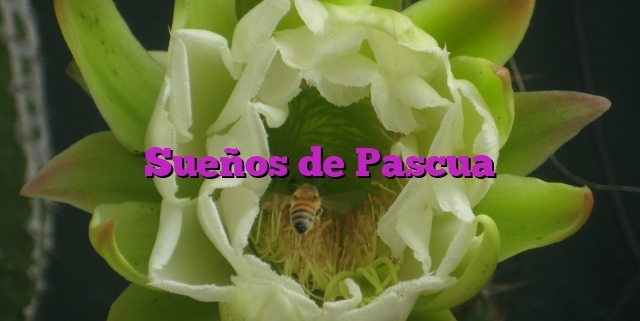 Sueños de Pascua