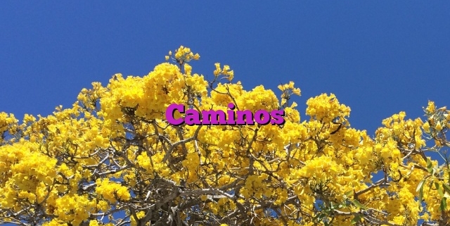 Caminos