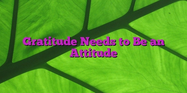 Gratitude Needs to Be an Attitude