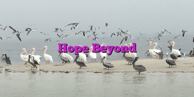 Hope Beyond