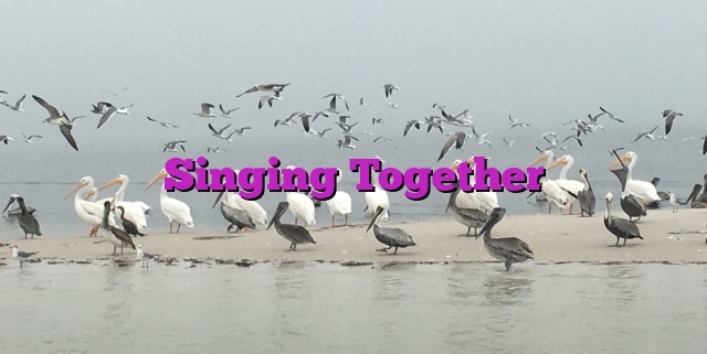 Singing Together