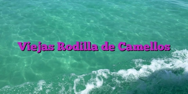 Viejas Rodilla de Camellos