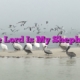 The Lord Is My Shepherd