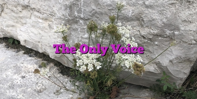 The Only Voice