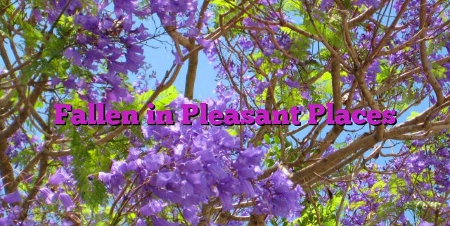 Fallen in Pleasant Places