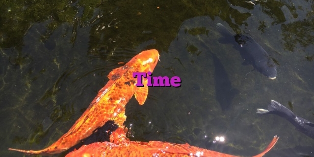 Time