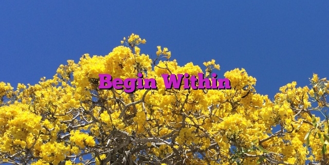 Begin Within