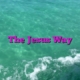 The Jesus Way