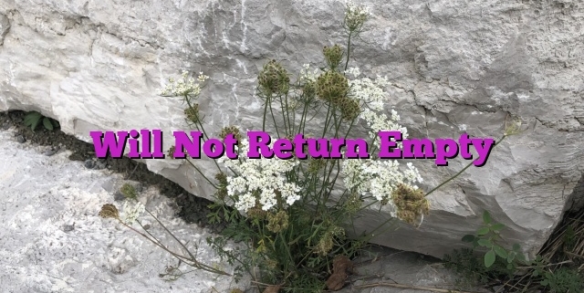 Will Not Return Empty