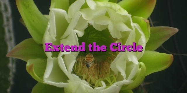 Extend the Circle