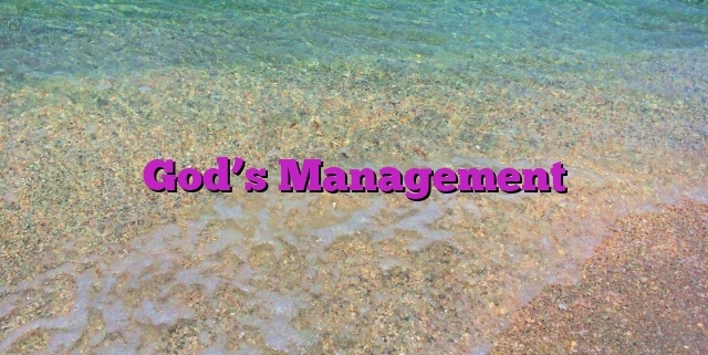 God’s Management