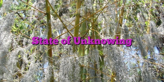 State of Unknowing