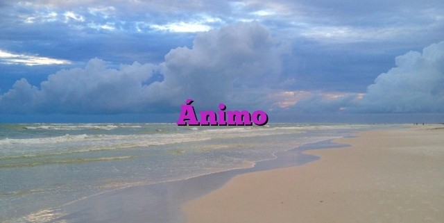 Ánimo