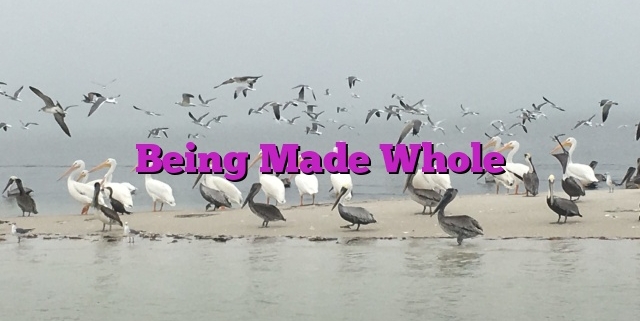 Being Made Whole