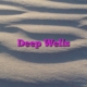 Deep Wells