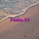 Psalm 23