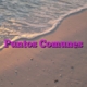 Puntos Comunes