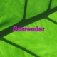 Surrender