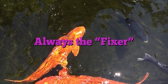 Always the “Fixer”