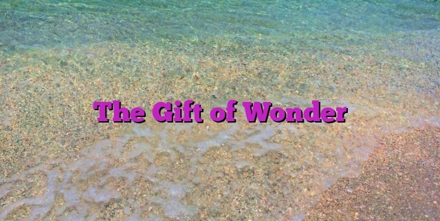 The Gift of Wonder