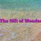 The Gift of Wonder