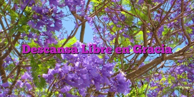 Descansa Libre en Gracia