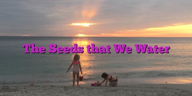 The Seeds that We Water