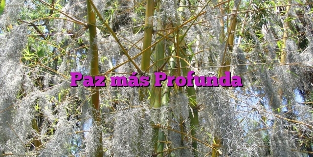 Paz más Profunda