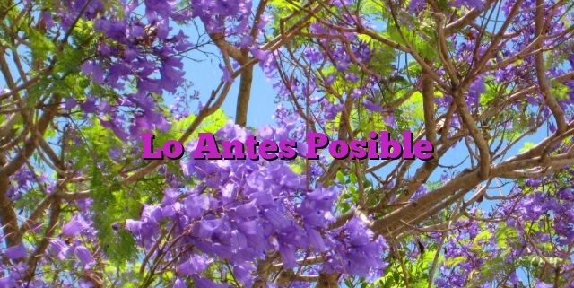 Lo Antes Posible