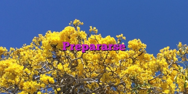 Prepararse