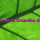 Corona de la Creación de Dios