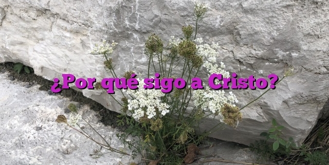 ¿Por qué sigo a Cristo?