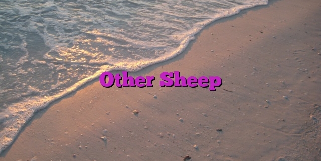 Other Sheep