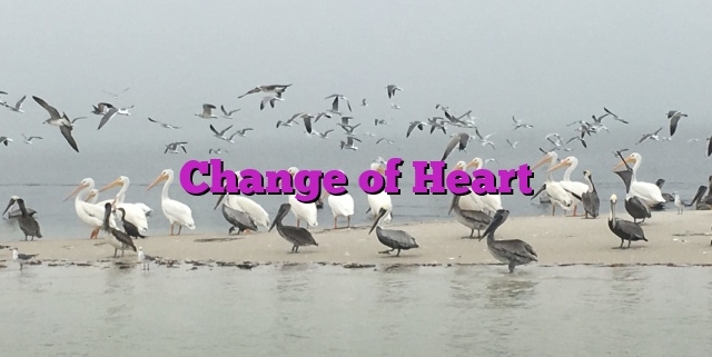 Change of Heart