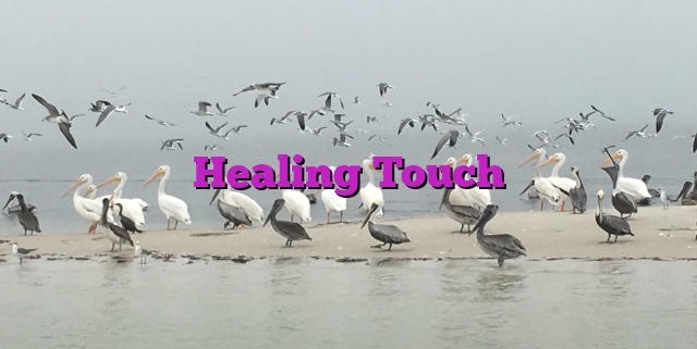 Healing Touch