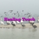 Healing Touch