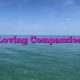 Loving Compassion