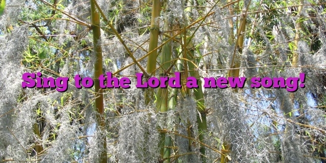 Sing to the Lord a new song!