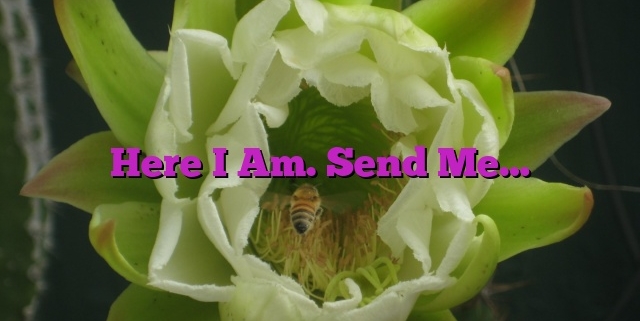 Here I Am. Send Me…