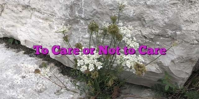 To Care or Not to Care