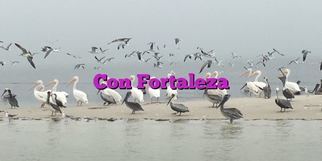 Con Fortaleza