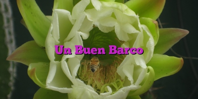 Un Buen Barco