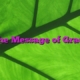 The Message of Grace