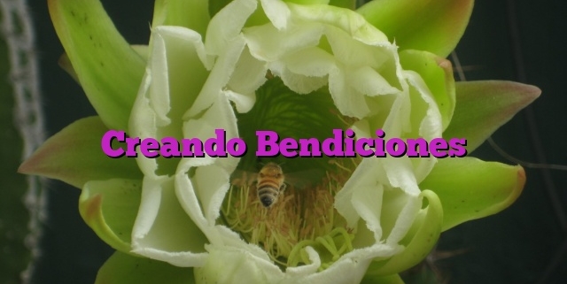 Creando Bendiciones