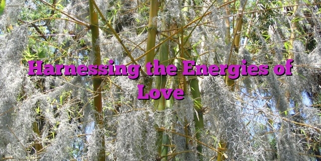 Harnessing the Energies of Love