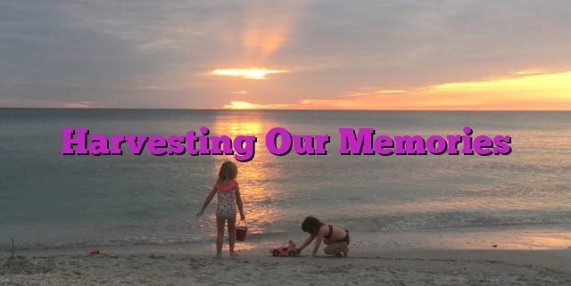 Harvesting Our Memories